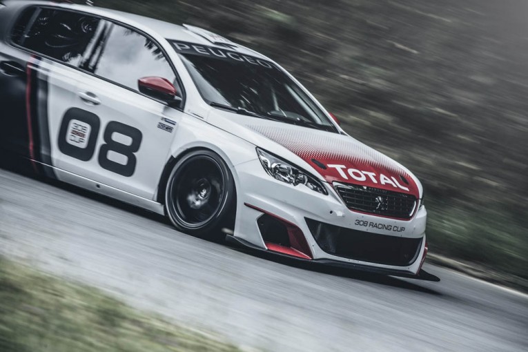 Peugeot-308-Racing-Cup-11