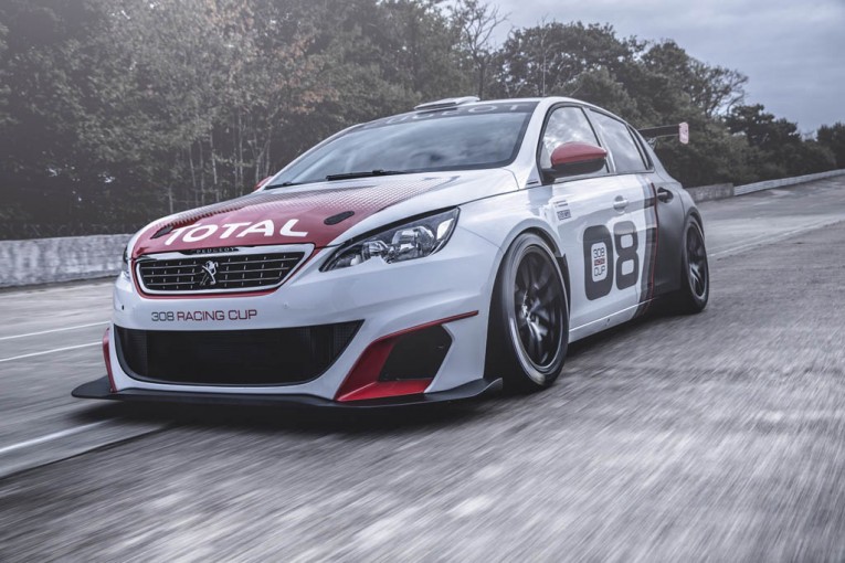 Peugeot-308-Racing-Cup-7