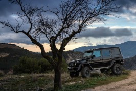 2016 Mercedes-Benz G500 4x4²