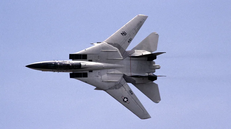 جنگنده F-14 تامکت